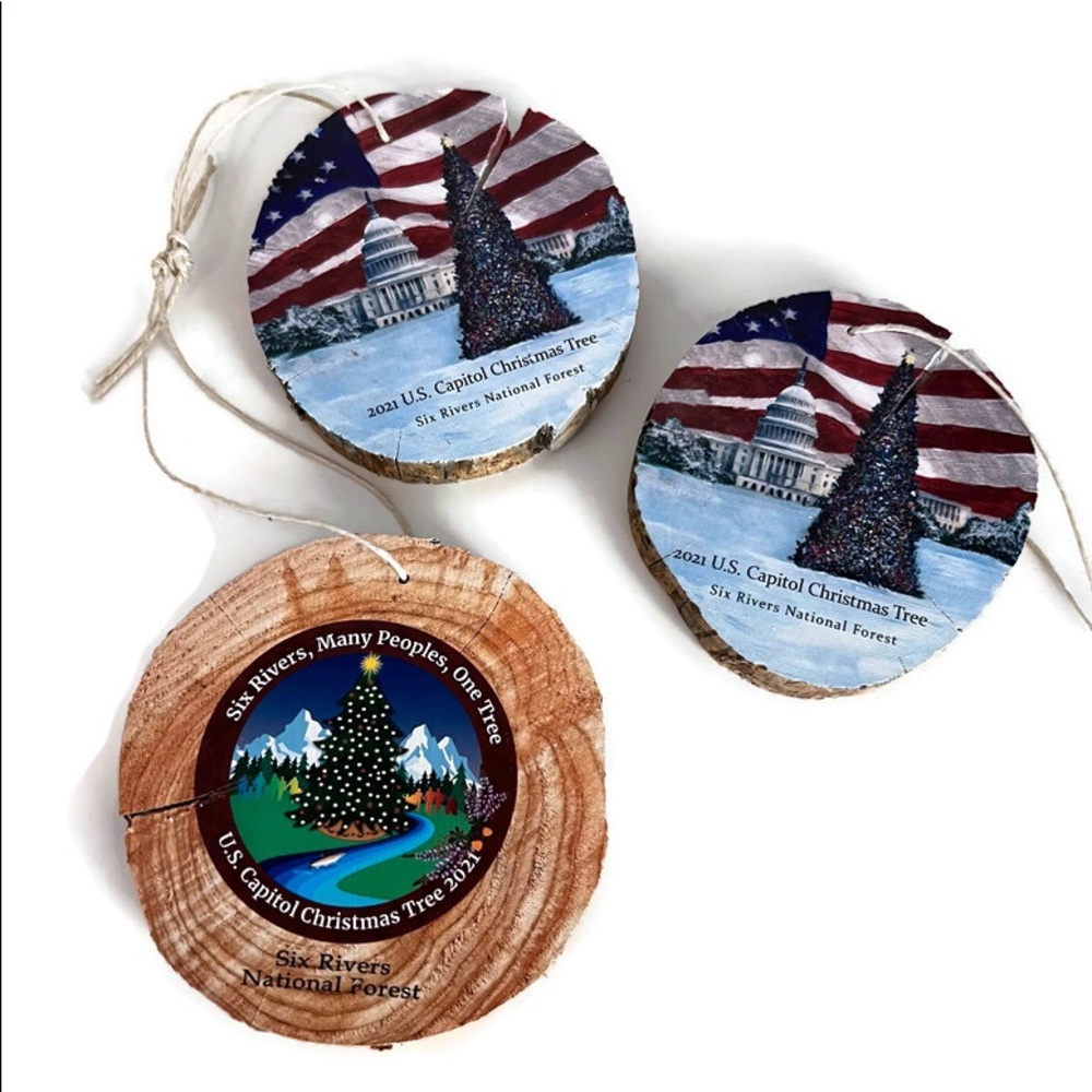 U.S. Capitol Christmas Tree handmade ornaments